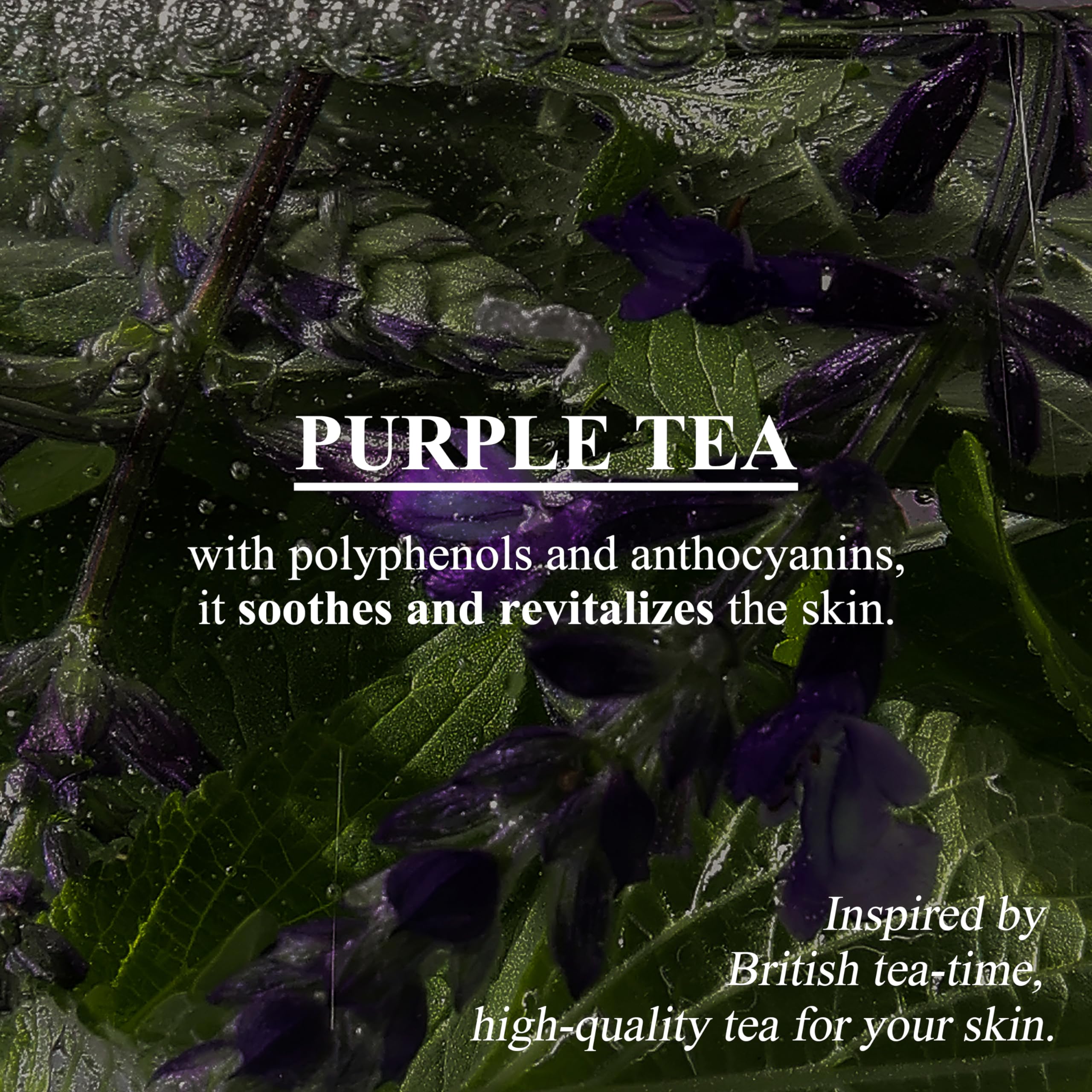 Perfumed Body Wash, Sage Amber Purple Tea (17.63oz/500ml) - Hydrating Body Cleanser for Sensitive Skin - Korean Skin Care with Herbs - Gentle, Moisturizing, Non-Sticky, Floral Woody Scent