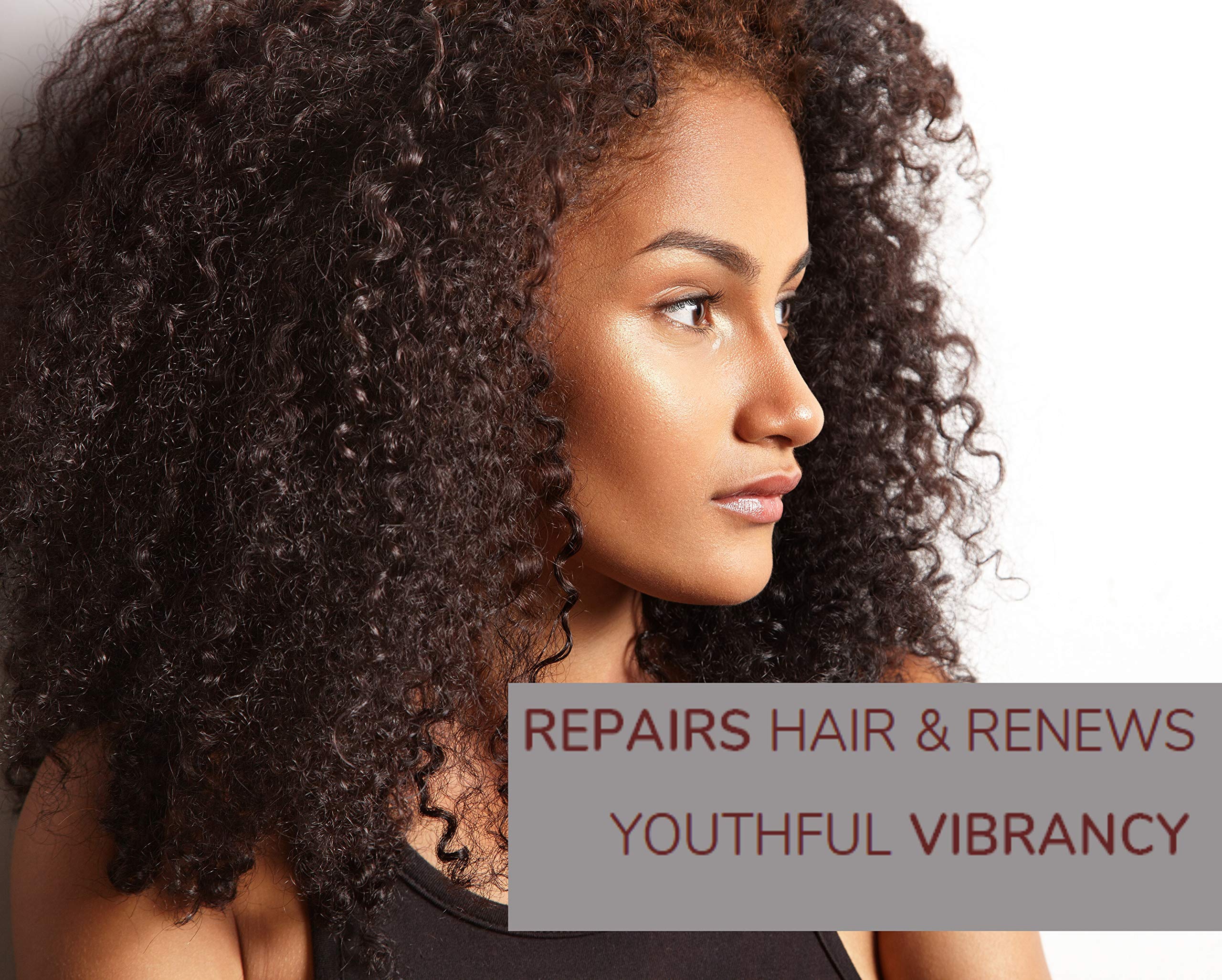 GIOVANNI 2chic Ultra-Repairing Shampoo - For Damaged, Over-Processed Hair, Helps Restore Hair's Natural Elasticity, Blackberry & Coconut Oil, Argan, Shea Butter, Color Safe - 24 oz