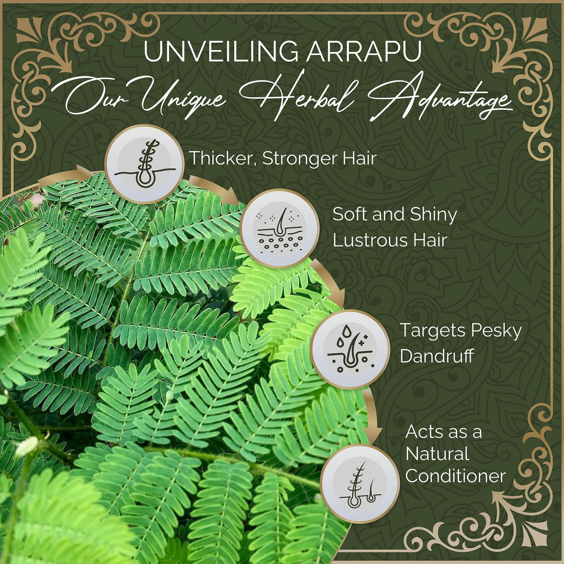 NAKSHATRA HERBALS Shampoo & Conditioner | 100% Natural Anti-Dandruff & Anti-Hairloss Herbal Solution | For All Hair Types | Ayurvedic | 13.5 oz (x2)