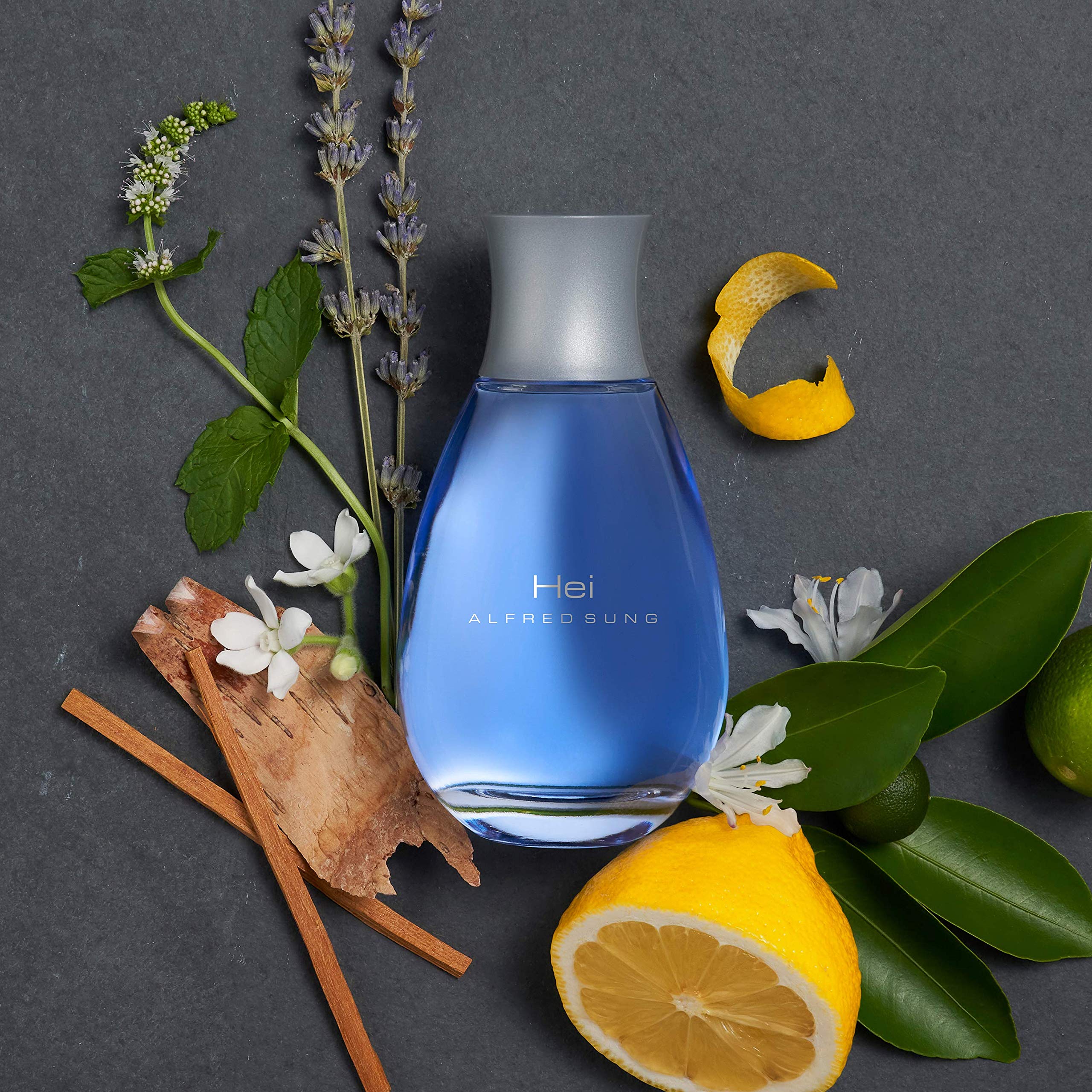 Alfred Sung HEI Cologne For Men, Eau De Toilette Spray Vaporisation for Day or Night, 3.4 oz