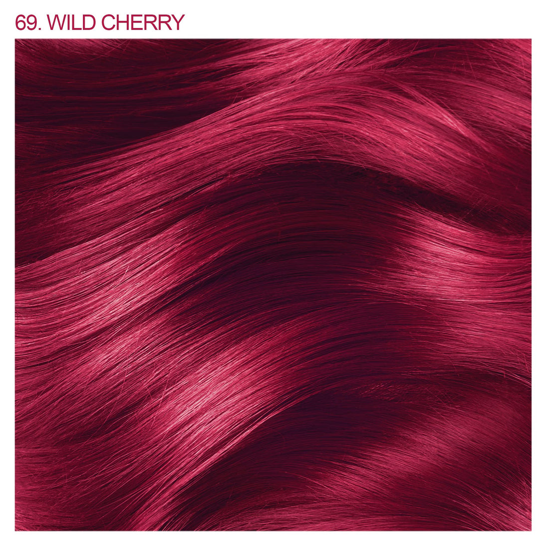 Adore Semi-Permanent Haircolor #069 Wild Cherry 4 Ounce 118ml 2 Pack
