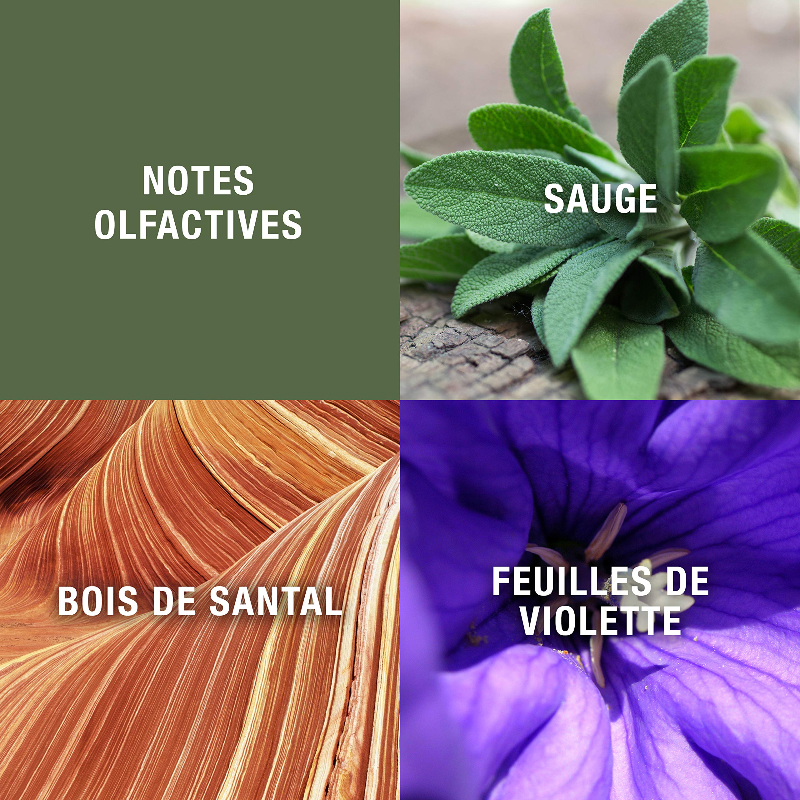 Geoffrey Beene Grey Flannel 4 Oz Edt Sp Fragrance:men 0