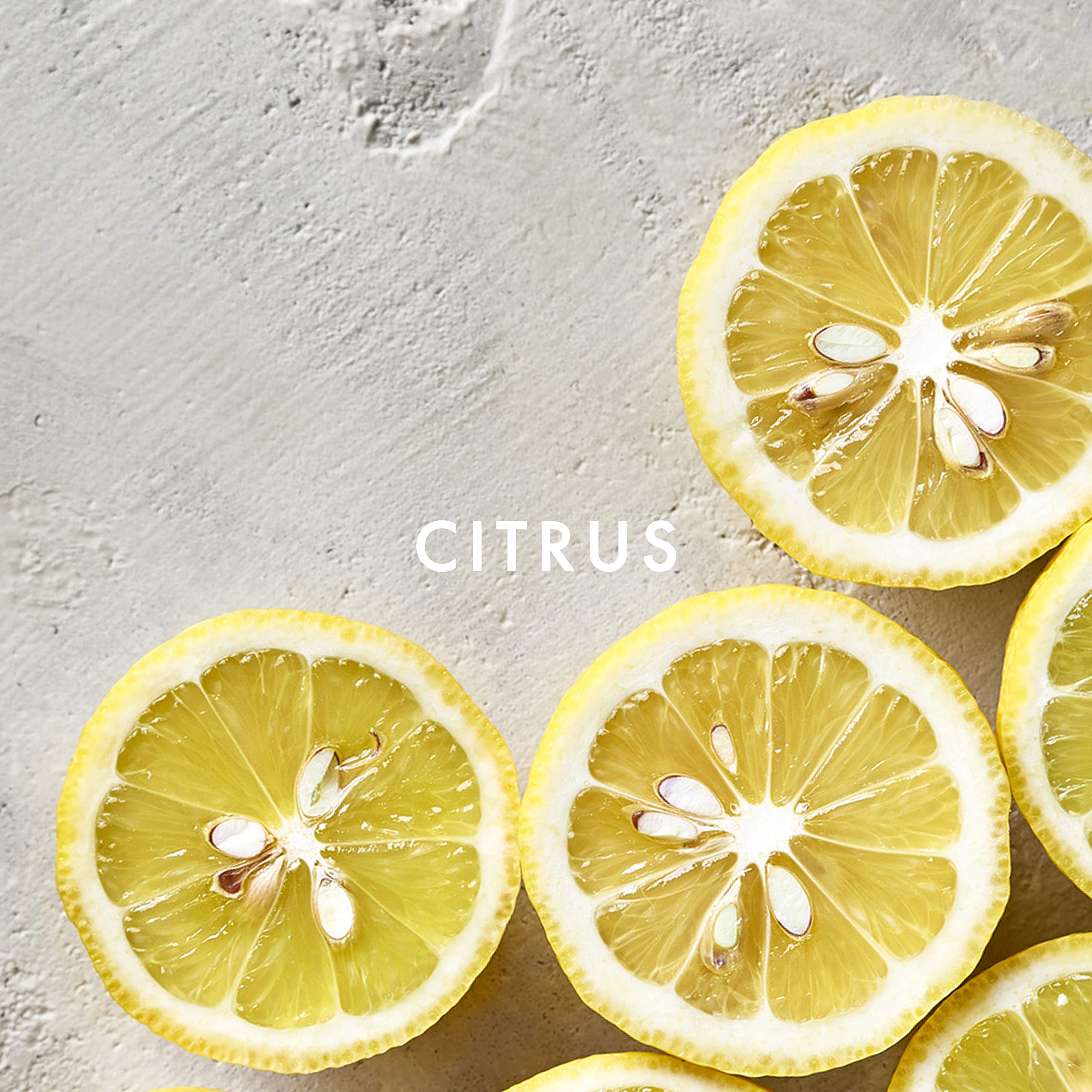 Sung By Alfred Sung For Women. Eau De Toilette Spray 1 Ounces