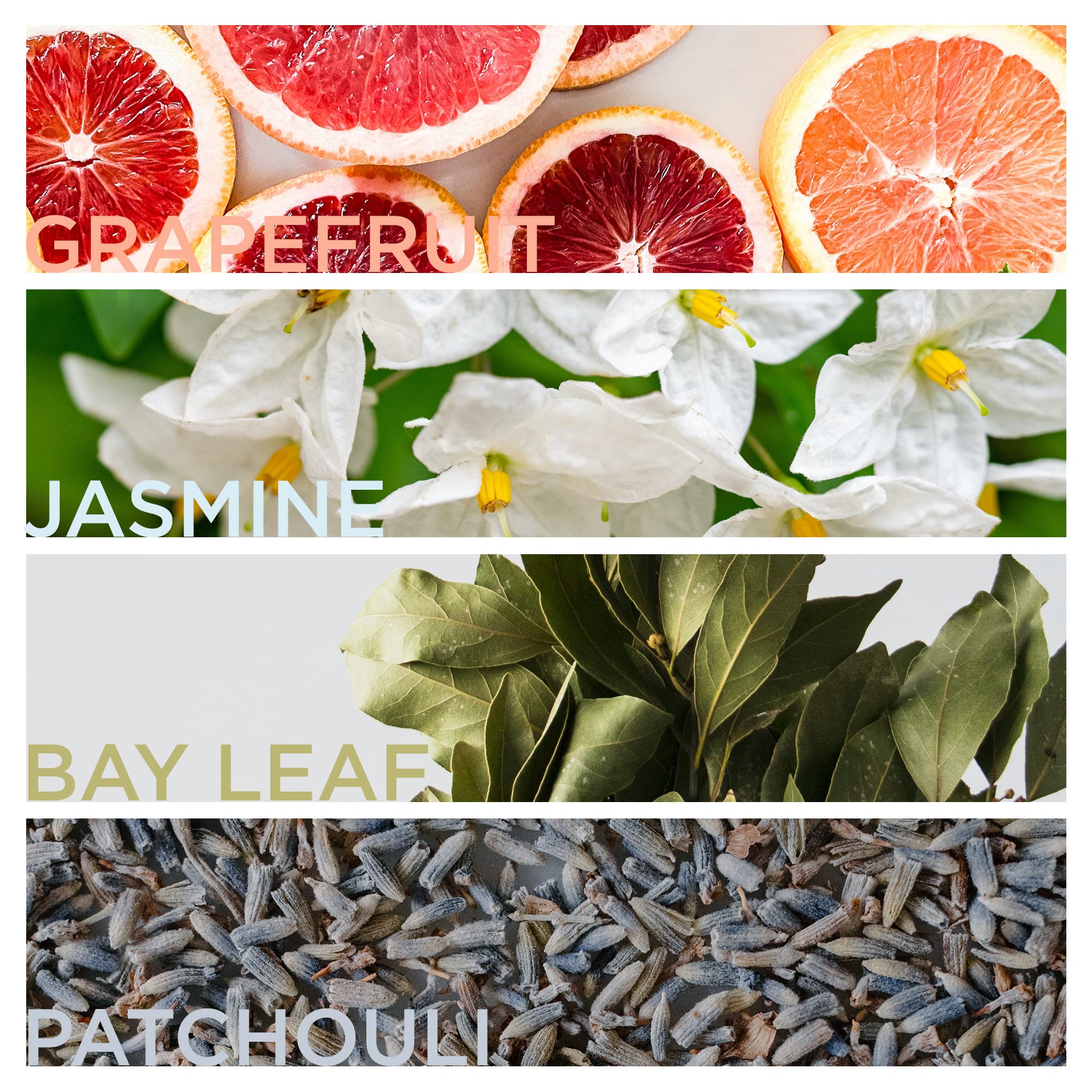 English Laundry Cambridge Knight Eau de Parfum