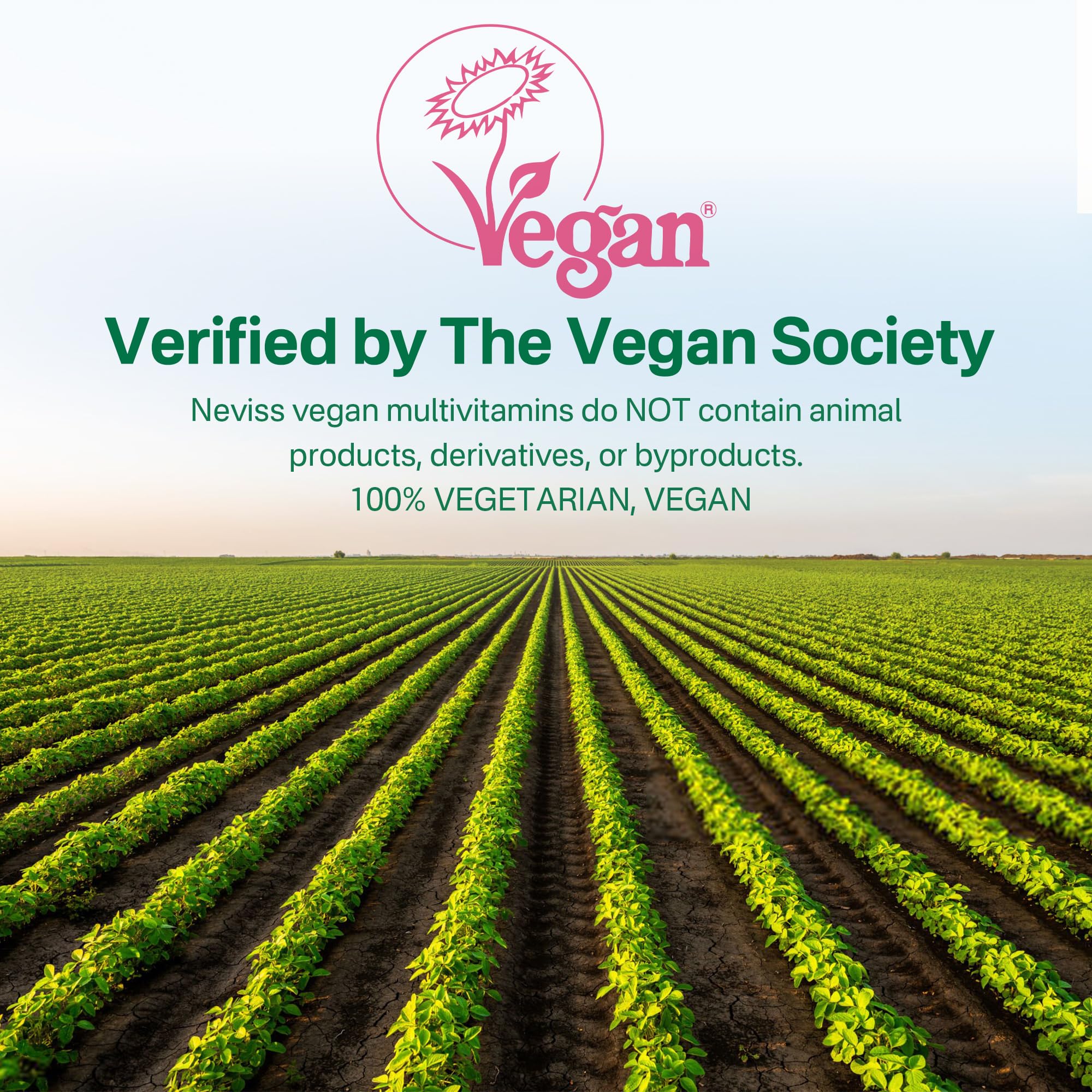 Vegan Multivitamin for Women & Men with Methyl Vitamin B12, D3 K2, Plant Based Omega 3 (DHA+EPA), Iron, Choline, Zinc, Whole Food Daily Vitamins Gummies for Vegans & Vegetarians, Sugar Free, 60 Counts