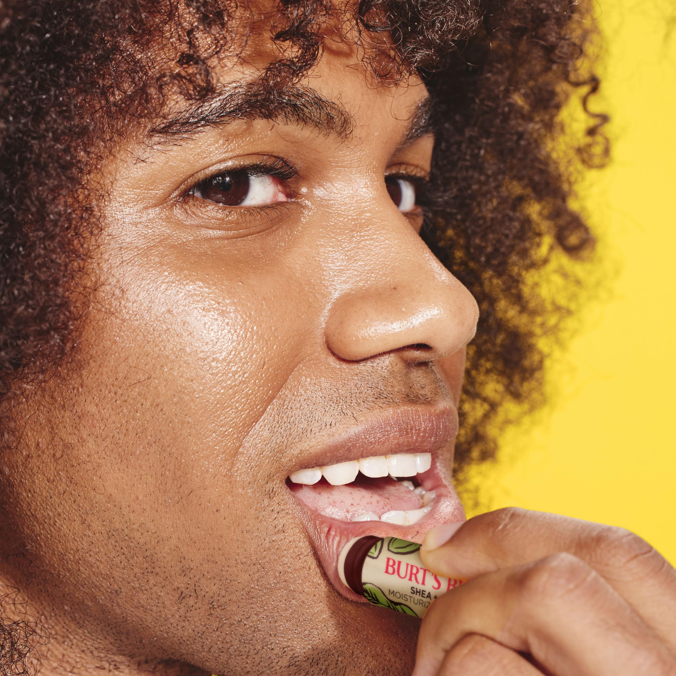 Burt's Bees Shea and Aloe Moisturizing Lip Balm, Lip Moisturizer With Responsibly Sourced Beeswax, Tint-Free, Natural Origin Conditioning Lip Treatment, 4 Tubes, 0.15 oz.