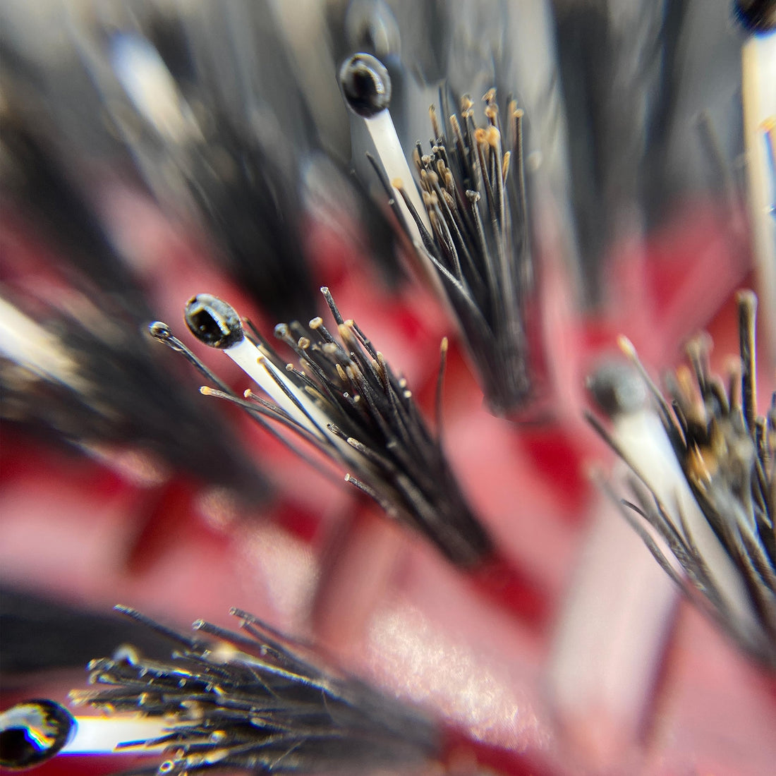 Phillips Brush Mini Monster Vent6 P Series (2 diameter)