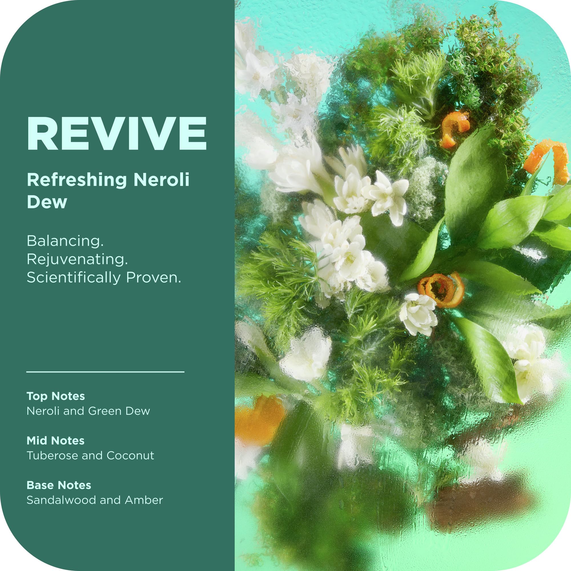 OLLY Revive Body Wash with Magnesium, Electrolytes & Vitamin B12– Nourishing Cleanser for Skin Barrier Repair, Deep Hydration, Refreshing Nerolidew Scent, 17 oz