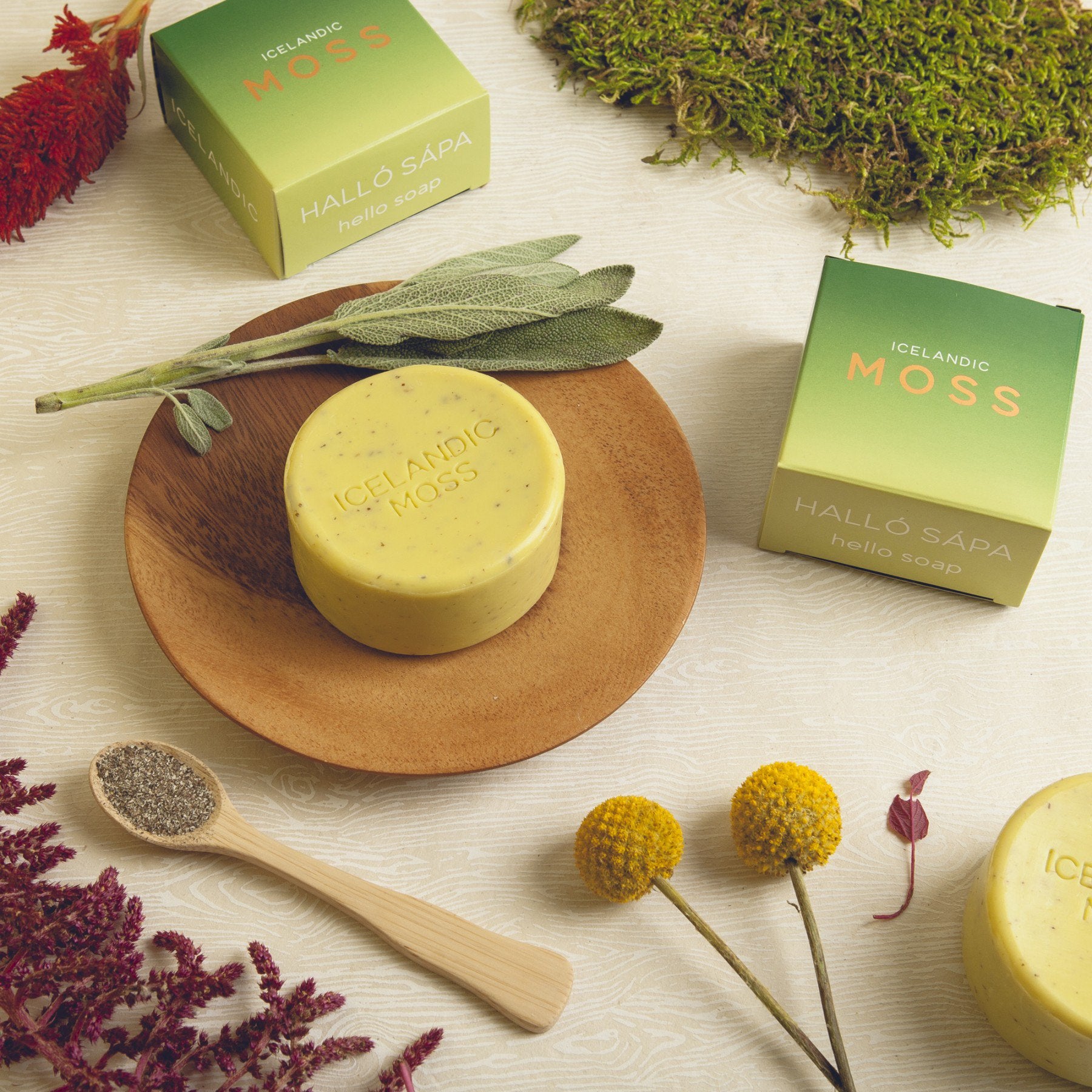 Kalastyle Hallo Sapa Icelandic Moss Soap - 4.3 oz