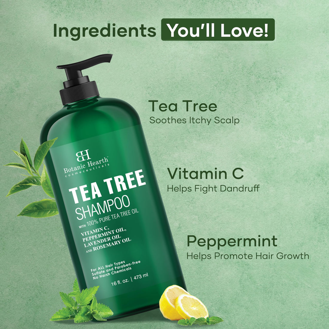 Botanic Hearth Tea Tree Shampoo, Vitamin C, Peppermint, Lavender and Rosemary Oil, Fights Dandruff and Dry Scalp, 16 fl oz