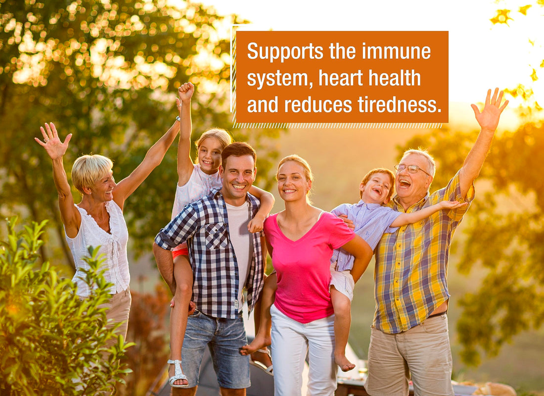 T&D German Multivitamin Drink Effervescnet Tablets 140 Servings Orange Flavour - Vitamin C, E, B1, B2, B6, B12, Biotin, Folic Acid, Niacin, Pantothenic Acid Pharma – Made in Germany