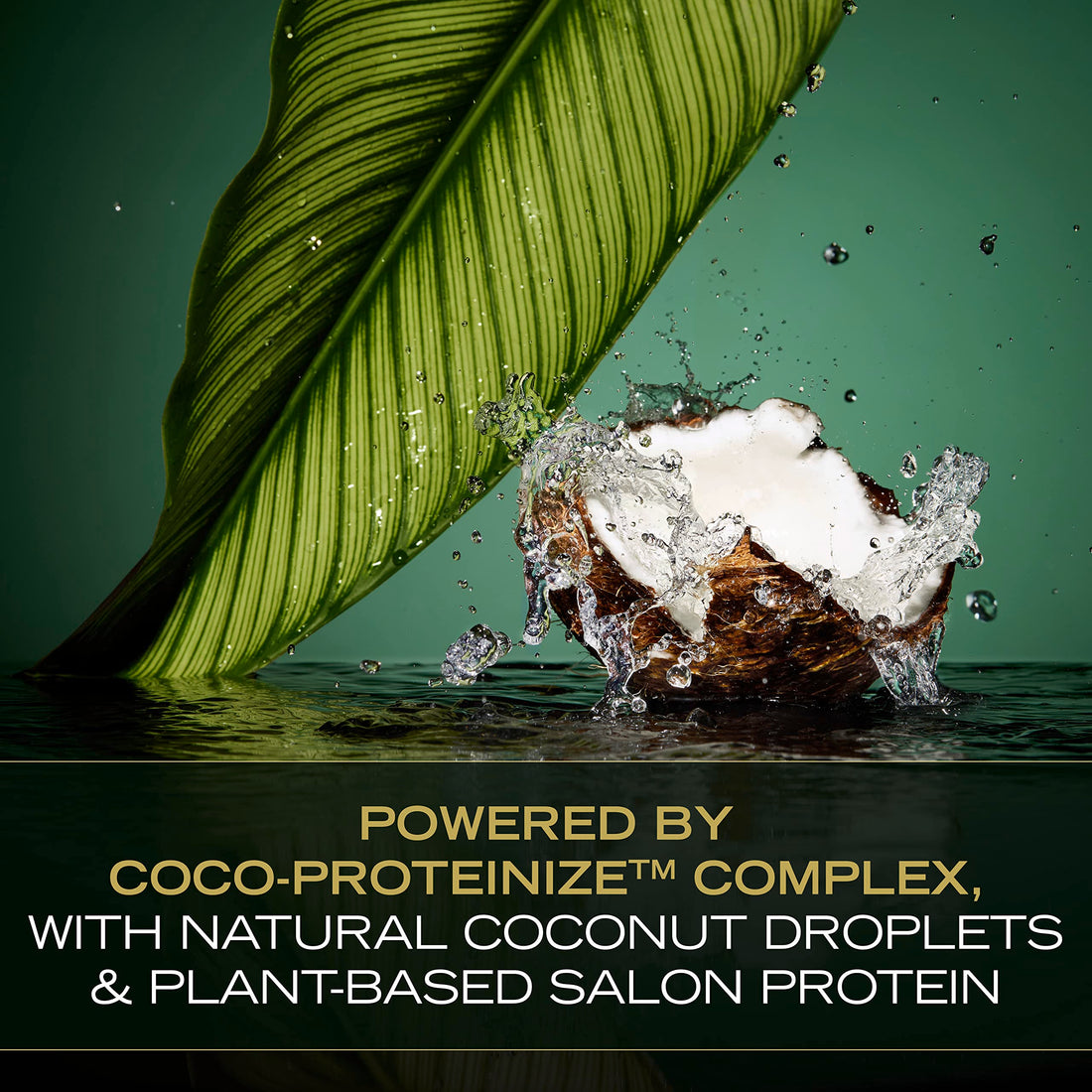 TRESemmé Cruelty-Free Pro Infusion Fluid Smooth Sulfate-Free Shampoo For Silky & Supple Hair Infused With Natural Coconut Droplets + Plant-Based Salon Protein + Niacinimide 16.5oz