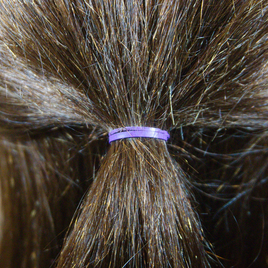 500 Count Rubber Bands in Re-closable Container for Ponytails and Braids (Purple/Fuchsia)