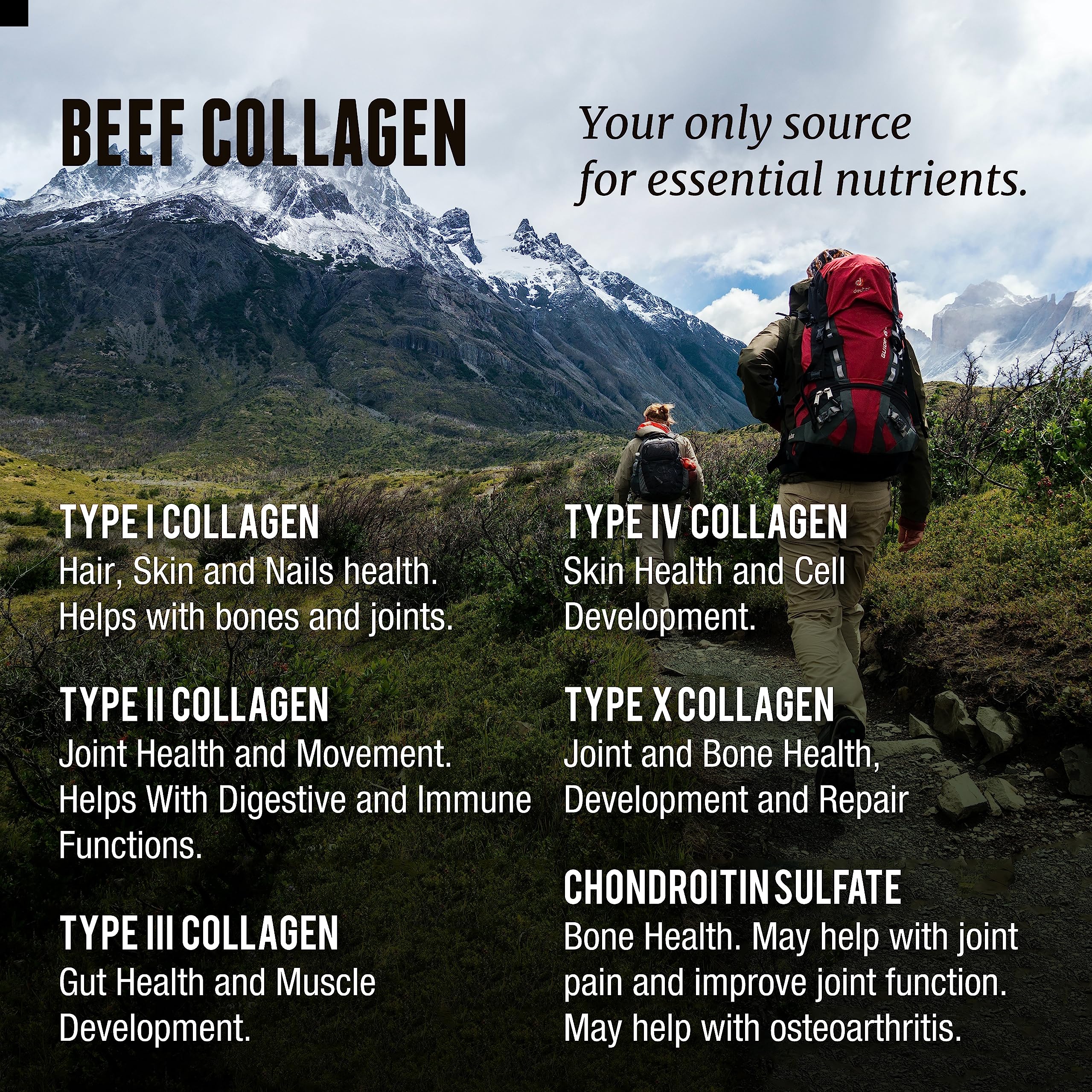 One Earth Health Grass Fed Beef Collagen - New Zealand Sourced Natural Collagen Supplement. (Types I, II, III, V and X) 3,000mg per Serving, 200 Count