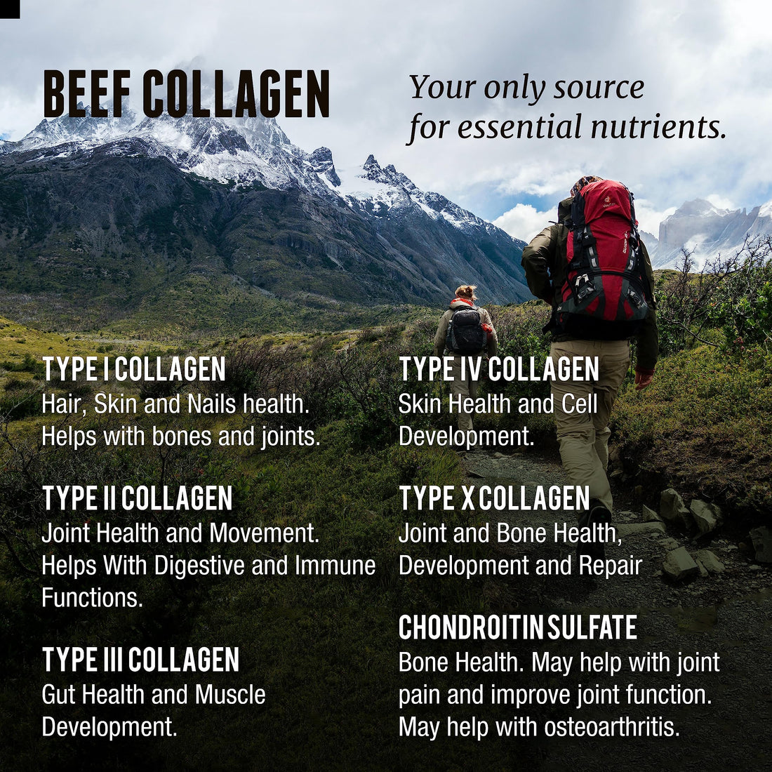 One Earth Health Grass Fed Beef Collagen - New Zealand Sourced Natural Collagen Supplement. (Types I, II, III, V and X) 3,000mg per Serving, 200 Count