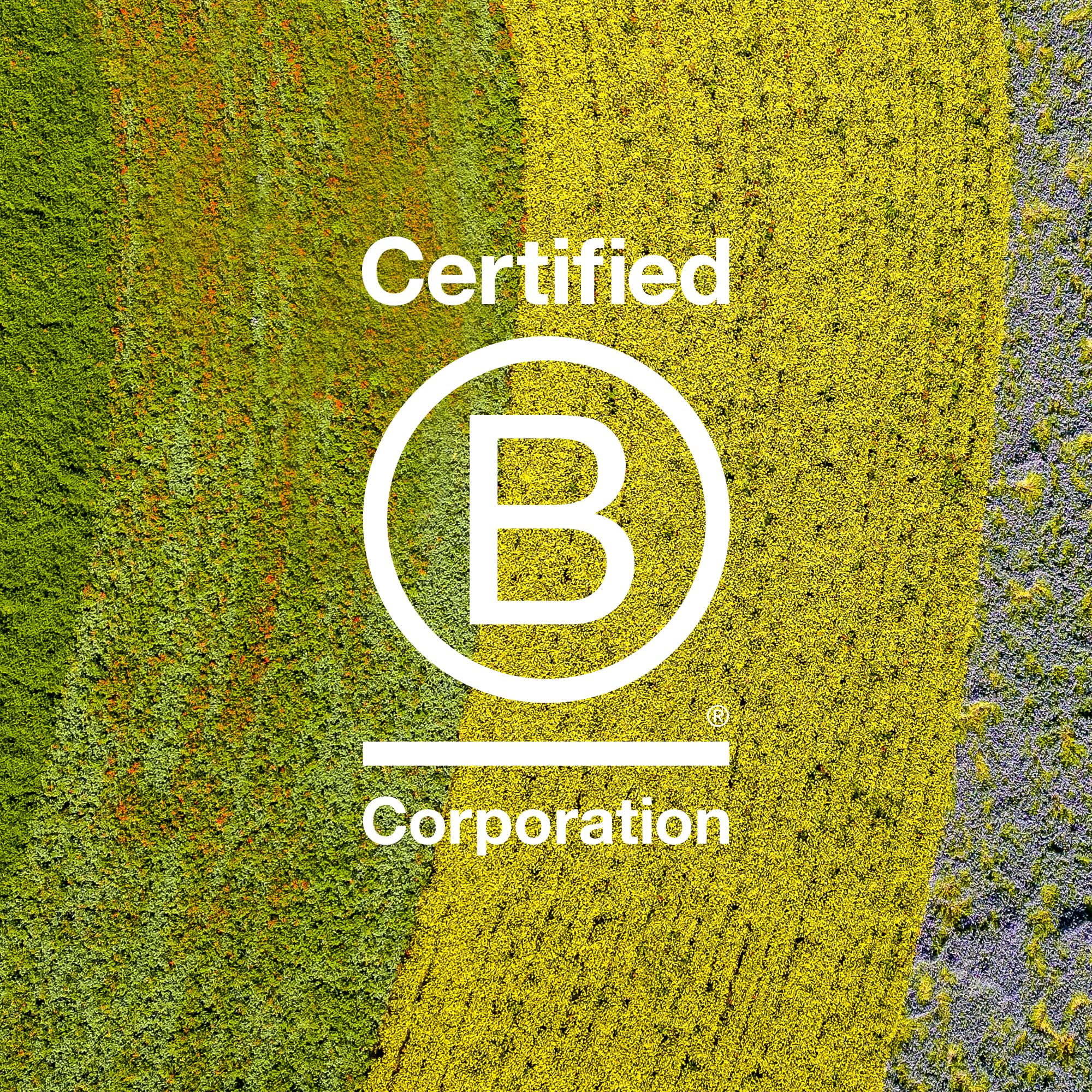 Davines This Is A Dry Texturizer | Texturizing Spray for Full Bodied Hair with Volume, Strong Hold, and Tousled Look | 7.4 oz