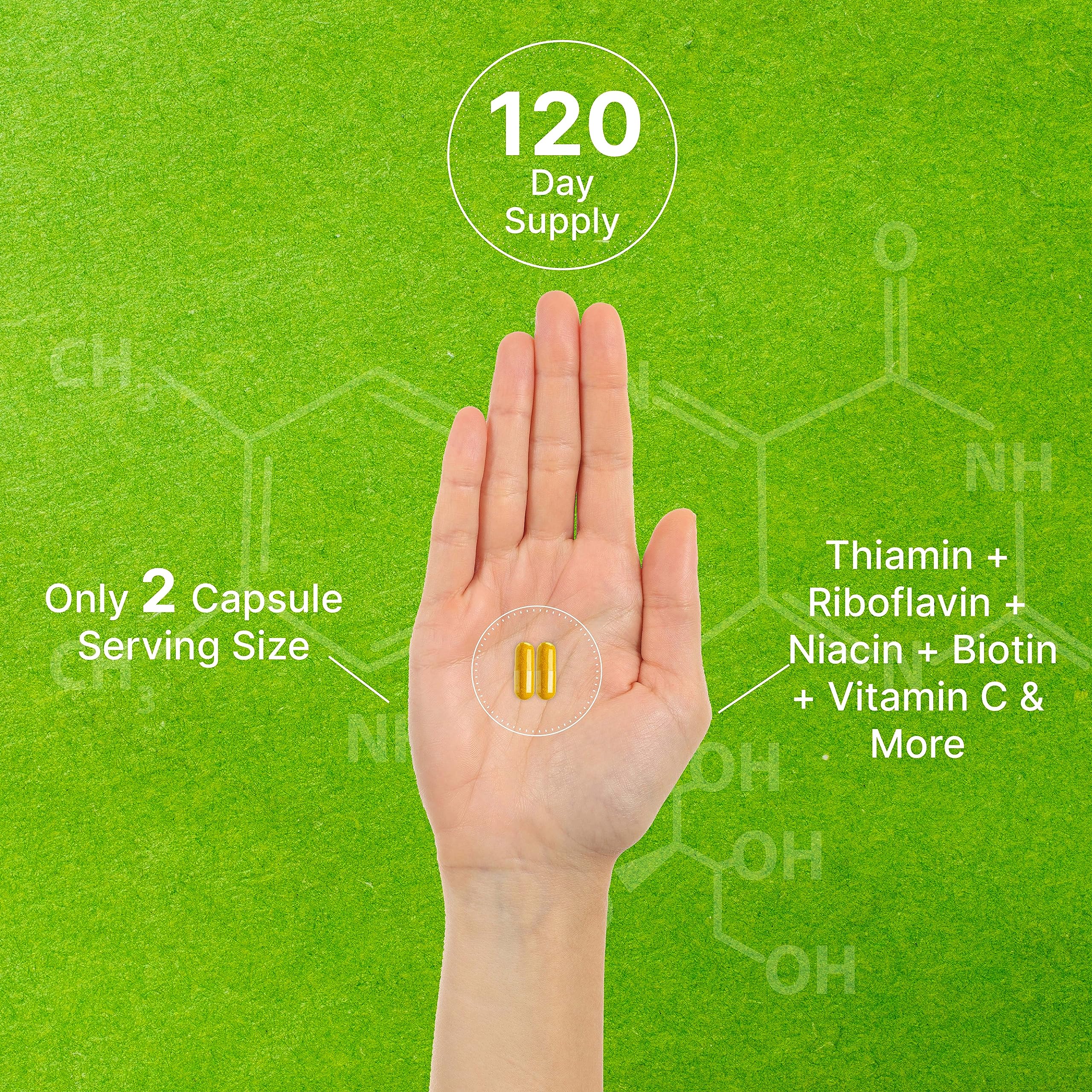 Bioactive Vitamin B Complex, 240 Veggie Capsules - Methylated Multivitamin B Complex & Esterified Vitamin C – High Potency & Easy Absorption – Immune, Energy, & Metabolism Supplement – Non-GMO