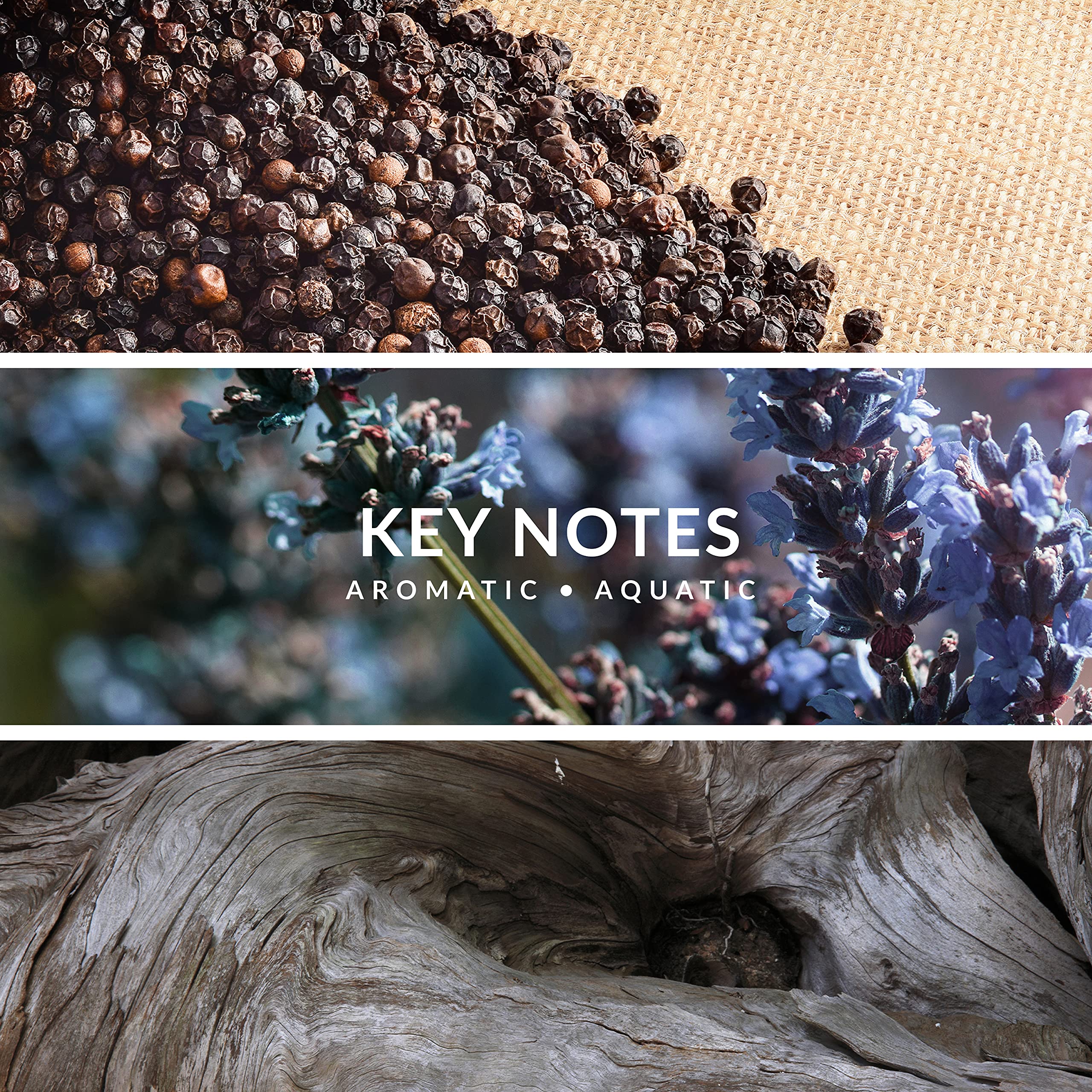 Yzy Territoire Wild By Yzy, 3.4 Eau De Parfum Spray For Men