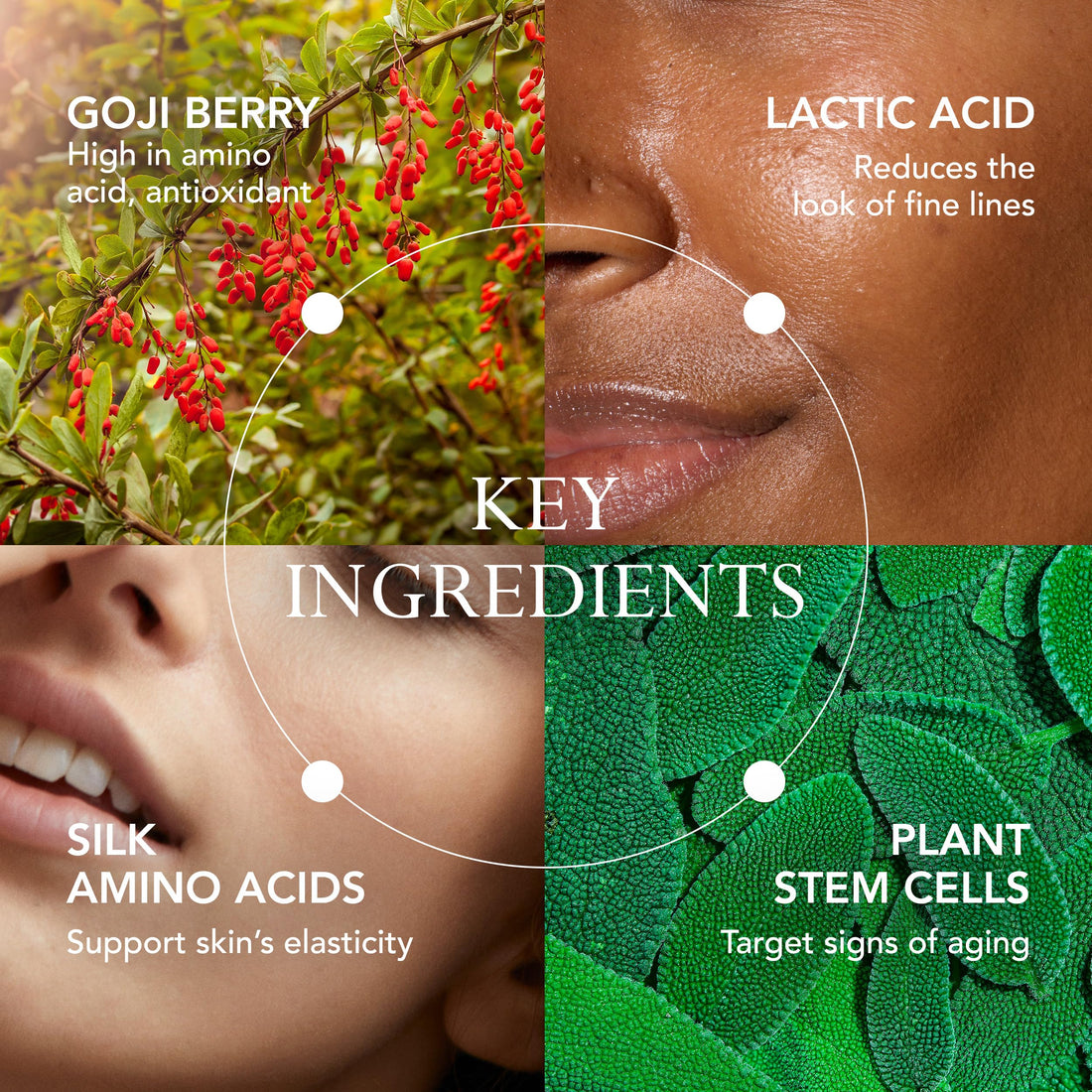 Kat Burki Goji Essence. Anti-Aging Pre Serum for Visibly Reducing Fine Lines, Repairing & Evening Skin Tone. With Goji Berry, 5% Lactic Acid & Neuropeptides, 4 fl. oz.