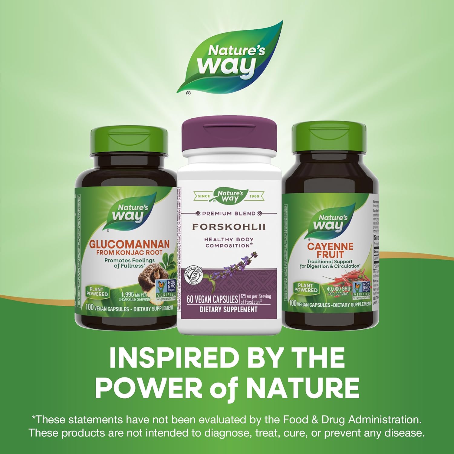 Nature's Way Nature's Way Forskohlii, 125 Mg Forslean Per Serving, 60 Vcaps, 60 Count (Pack of 12)