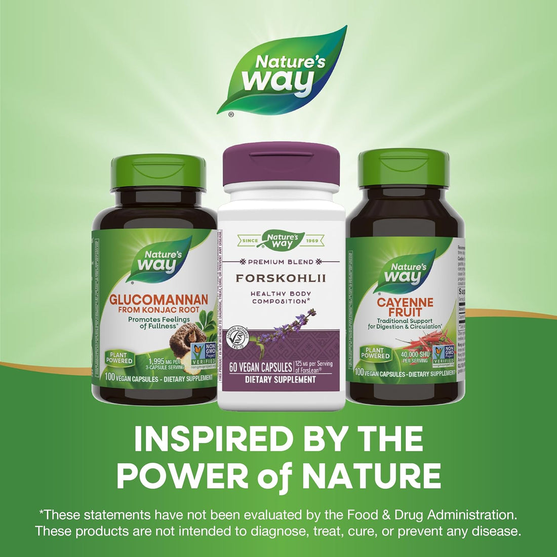 Nature's Way Nature's Way Forskohlii, 125 Mg Forslean Per Serving, 60 Vcaps, 60 Count (Pack of 12)