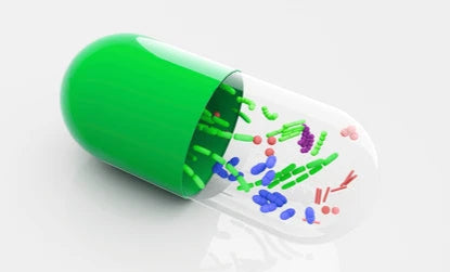 Digestive Supplements
